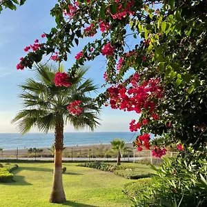 sunshine-spirit-oasis-beach-front-complex-now-best-price.1costadelsol.com/